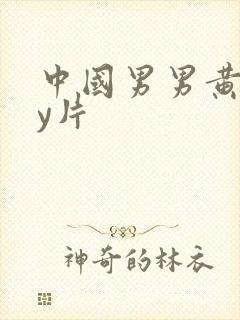 中国男男黄gay片