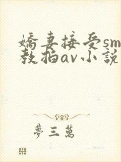 娇妻接受sm调教拍av小说