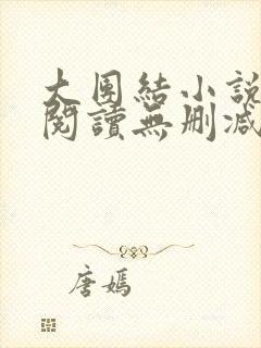 大团结小说在线阅读无删减封面