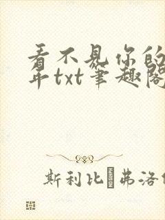 看不见你的第十年txt笔趣阁封面