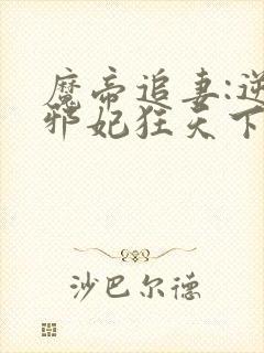 魔帝追妻:逆天邪妃狂天下