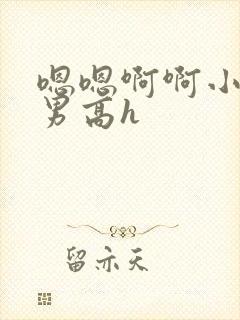 嗯嗯啊啊小说男男高h