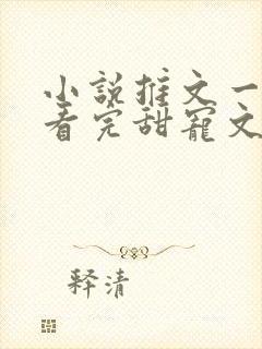 小说推文一口气看完甜宠文封面