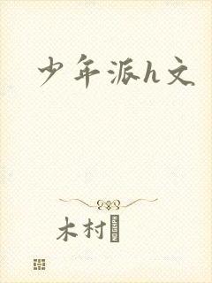 少年派h文