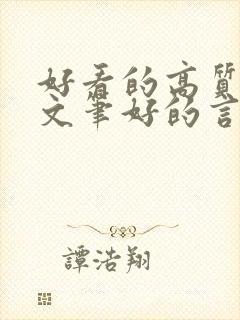 好看的高质量的文笔好的言情封面