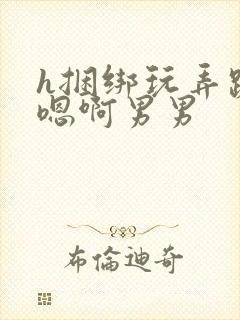 h捆绑玩弄跪趴嗯啊男男