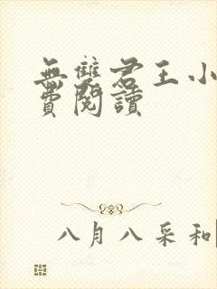 无双君王小说免费阅读