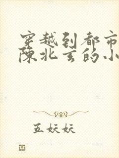 穿越到都市修仙陈北玄的小说