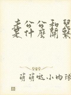 老公公和儿媳妇是什么关系封面