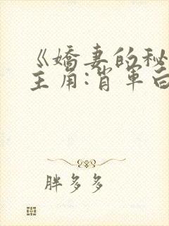 《娇妻的秘密》主角:肖军白柔