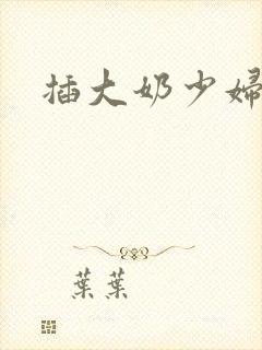 插大奶少妇小说封面