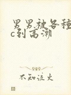 男男被各种姿势c到高潮