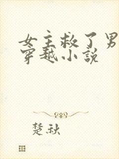 女主救了男主的穿越小说封面