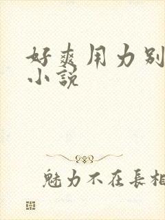 好爽用力别停的小说
