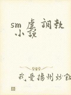 sm 虐 调教 小说