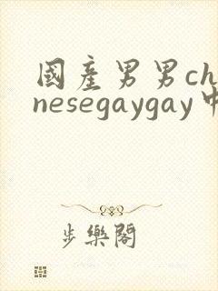 国产男男chinesegaygay中国帅哥网站