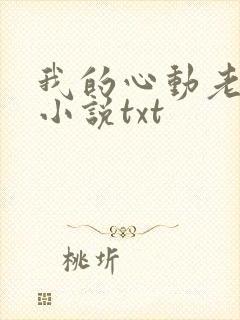 我的心动老板娘小说txt