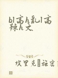 bl高h乱l高辣h文