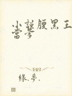 小说腹黑王爷喜当爹