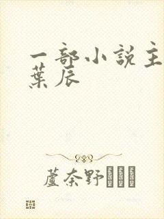 一部小说主角叫叶辰