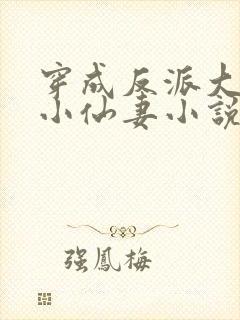 穿成反派大佬的小仙妻小说