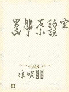 男朋友的室友太凶了小说封面