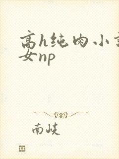 高h纯肉小说男女np