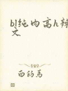 bl纯肉高h辣文