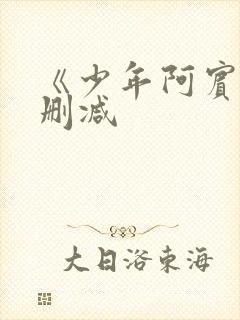 《少年阿宾》无删减