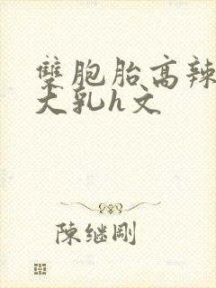 双胞胎高辣h文大乳h文封面