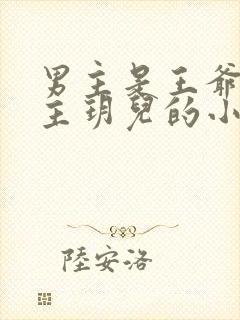 男主是王爷叫女主玥儿的小说