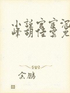 小说官宦沉浮秦峰胡佳云免费阅读无弹窗