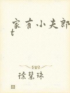 家有小夫郎txt