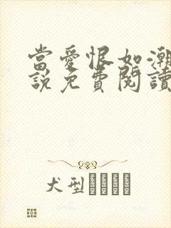 当爱恨如潮生小说免费阅读