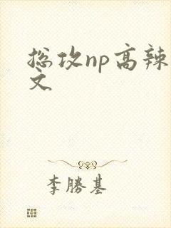 总攻np高辣h文