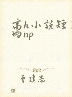 高h小说短篇纯肉np