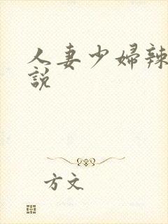 人妻少妇辣文小说