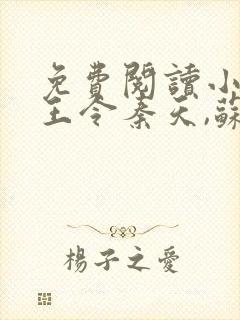 免费阅读小说神王令秦天,苏酥封面