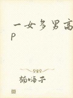 一女多男高hnp