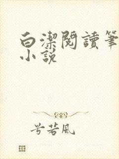 白洁阅读笔趣阁小说