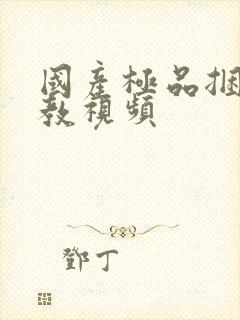 国产极品捆绑调教视频