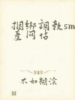 捆绑调教sm国产网站封面