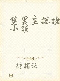 双男主总攻高h小说