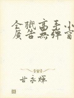 全职高手小说无广告无弹窗