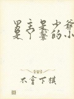 男主是少爷女主是丫鬟的小说封面