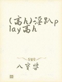 (高h)淫趴play高h
