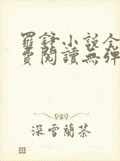 罗铮小说全文免费阅读无弹窗