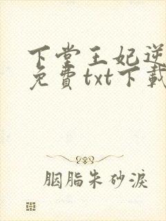下堂王妃逆袭记免费txt下载