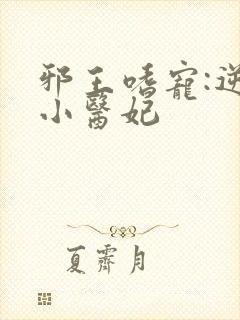 邪王嗜宠:逆天小医妃