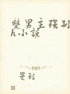 双男主强制爱高h小说